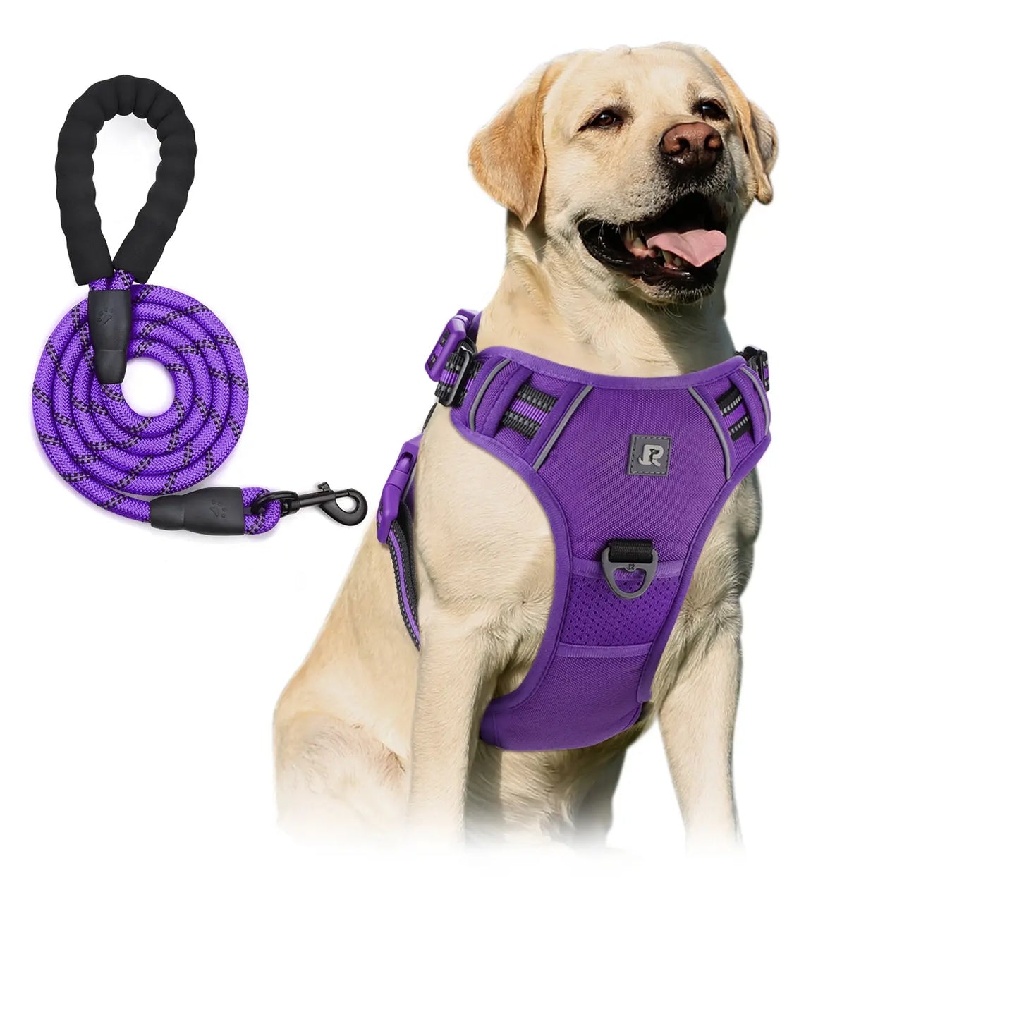 No-Pull Dog Harness and Leash Set (2 Pcs/Set), Reflective Adjustable Harness with Chest Strap and Handle, Escape-Proof Soft-Padded Pet Vest for Small to Large Dogs, Walking Harness