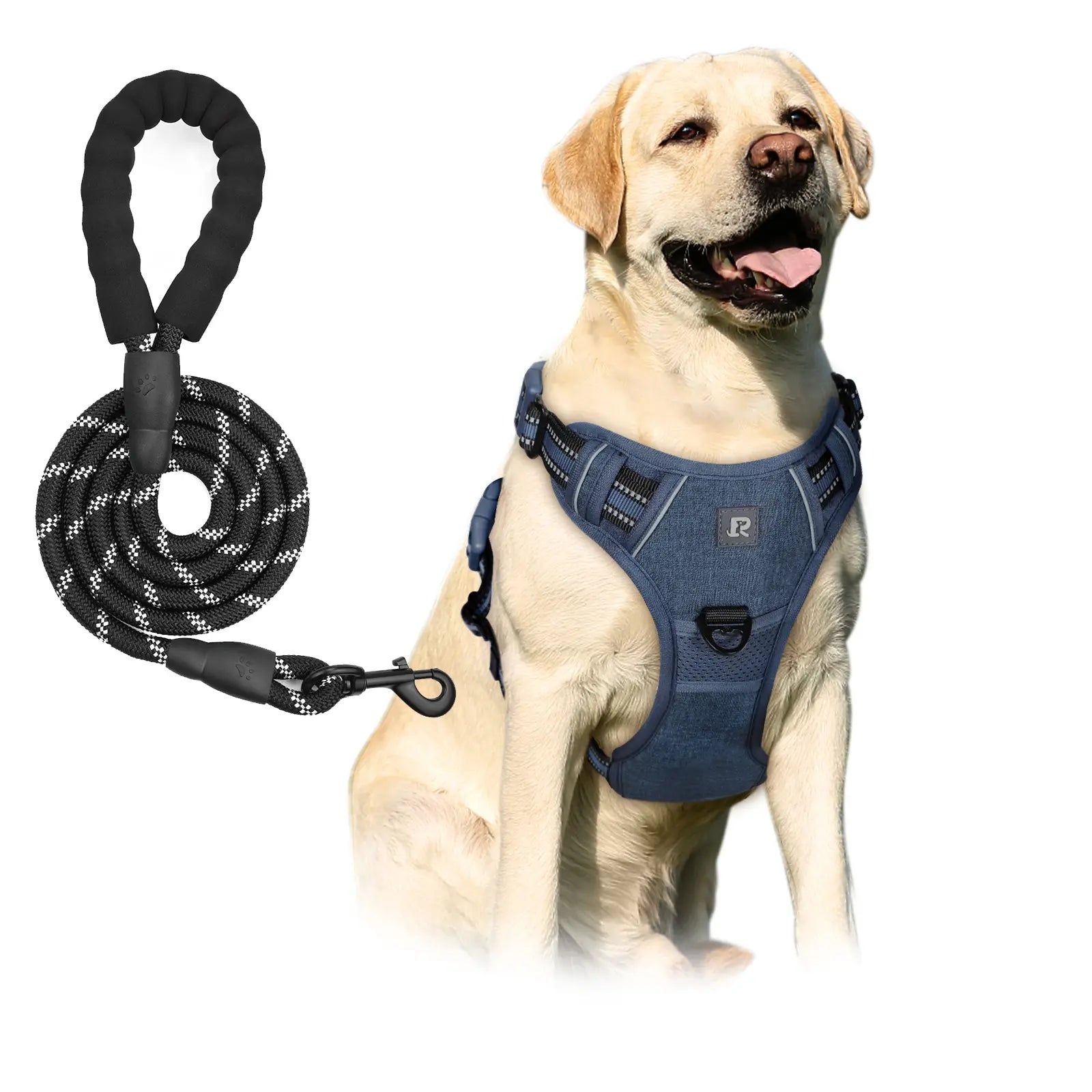 No-Pull Dog Harness and Leash Set (2 Pcs/Set), Reflective Adjustable Harness with Chest Strap and Handle, Escape-Proof Soft-Padded Pet Vest for Small to Large Dogs, Walking Harness