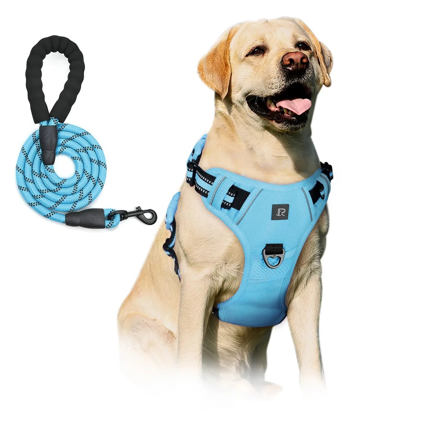 No-Pull Dog Harness and Leash Set (2 Pcs/Set), Reflective Adjustable Harness with Chest Strap and Handle, Escape-Proof Soft-Padded Pet Vest for Small to Large Dogs, Walking Harness