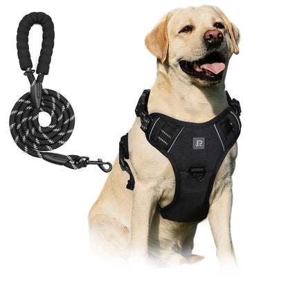 No-Pull Dog Harness and Leash Set (2 Pcs/Set), Reflective Adjustable Harness with Chest Strap and Handle, Escape-Proof Soft-Padded Pet Vest for Small to Large Dogs, Walking Harness