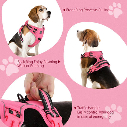 No-Pull Dog Harness and Leash Set (2 Pcs/Set), Reflective Adjustable Harness with Chest Strap and Handle, Escape-Proof Soft-Padded Pet Vest for Small to Large Dogs, Walking Harness
