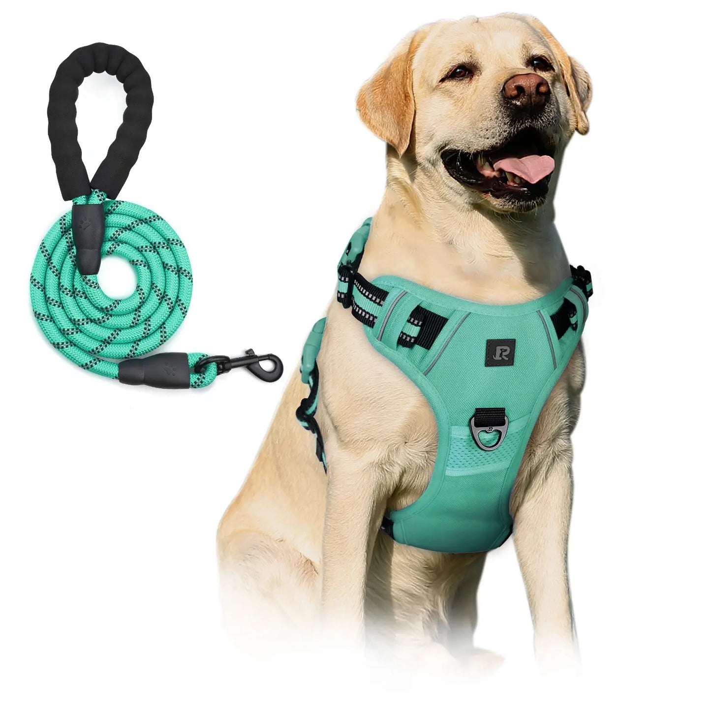 No-Pull Dog Harness and Leash Set (2 Pcs/Set), Reflective Adjustable Harness with Chest Strap and Handle, Escape-Proof Soft-Padded Pet Vest for Small to Large Dogs, Walking Harness