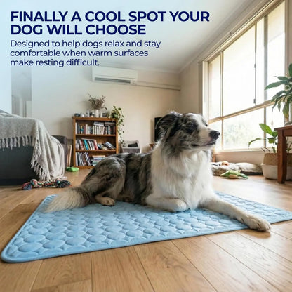 Dog Cooling Mat for Small Medium Dogs, Long-Lasting Cool Pad for Dogs Outdoor & Indoor Use with Ice Silk Fabric & Waterproof Cover, Summer Cooling Pet Bed, Non-Slip Washable Pet Blanket, Outside