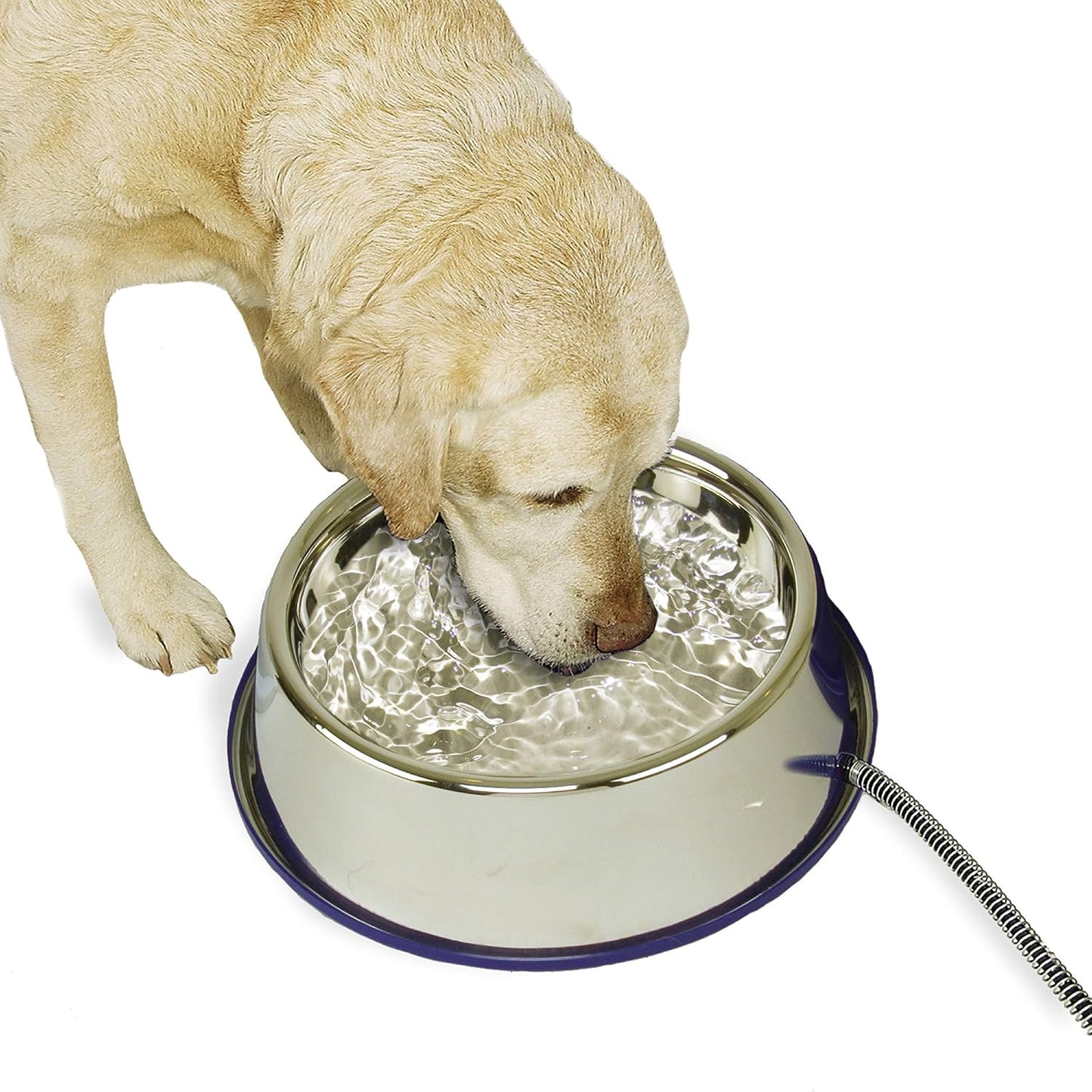 Thermal-Bowl Heated Water Bowl for Cats & Dogs Outside, Safety Listed Outdoor Heated Dog Dish for Pets, Automatic No Freeze, anti Chew Cord - 102 Ounces Stainless 25W