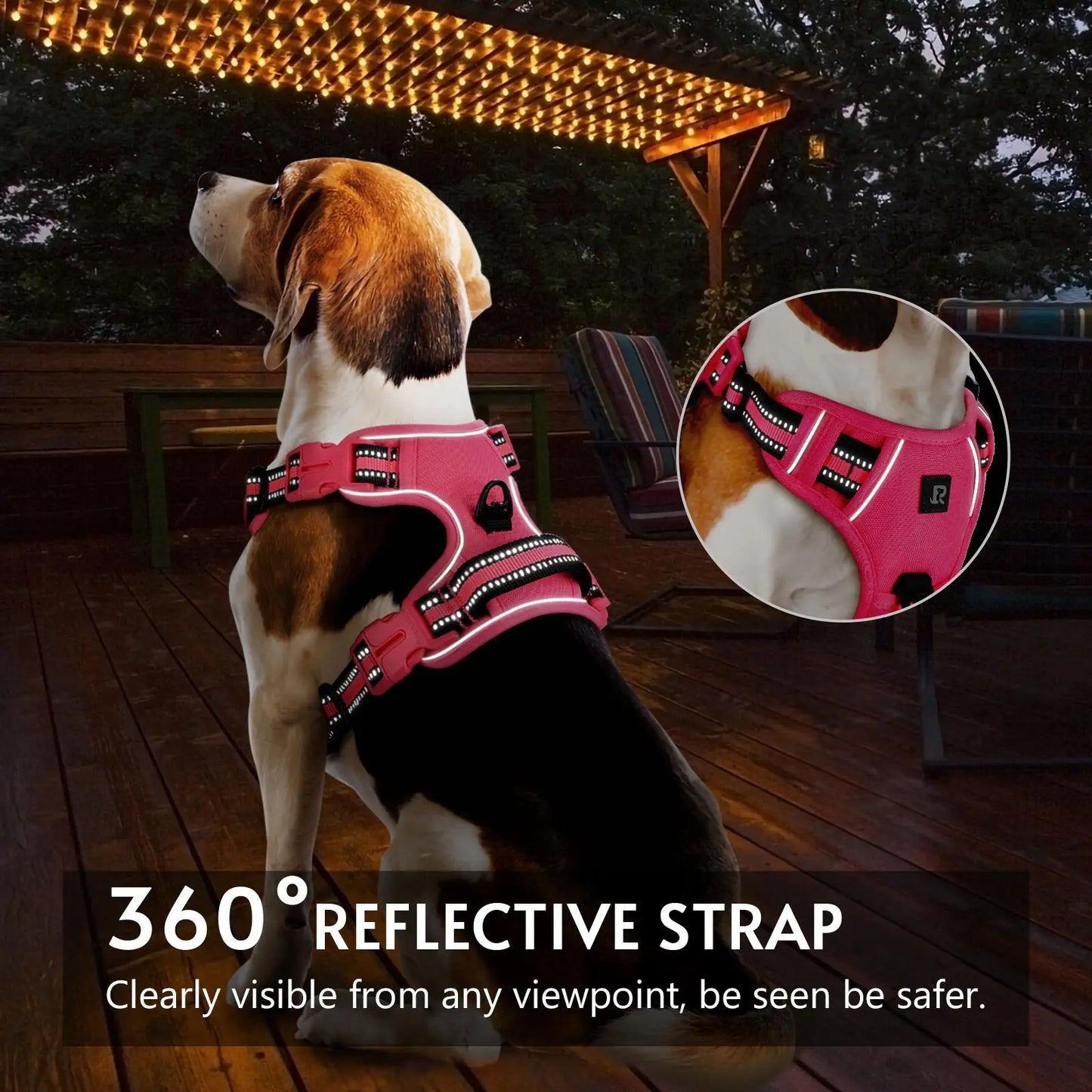 No-Pull Dog Harness and Leash Set (2 Pcs/Set), Reflective Adjustable Harness with Chest Strap and Handle, Escape-Proof Soft-Padded Pet Vest for Small to Large Dogs, Walking Harness