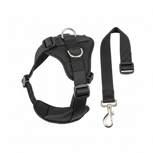 Pet seat belt safety harness for cars